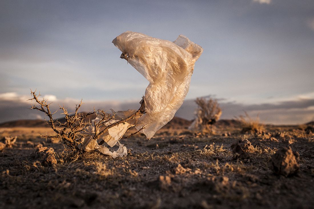 08/11/2014 - Uyuni, Bolivia:Plastic tree #53. Plastic bags are part of the landscape of the Bolivian Altiplano. The accumulation of plastic bags on the environment cause deterioration of the landscapes and agriculture soils and it is associated to the death of domestic and wild animals.