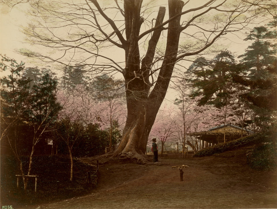 19th-century-color-photos-from-japan-03
