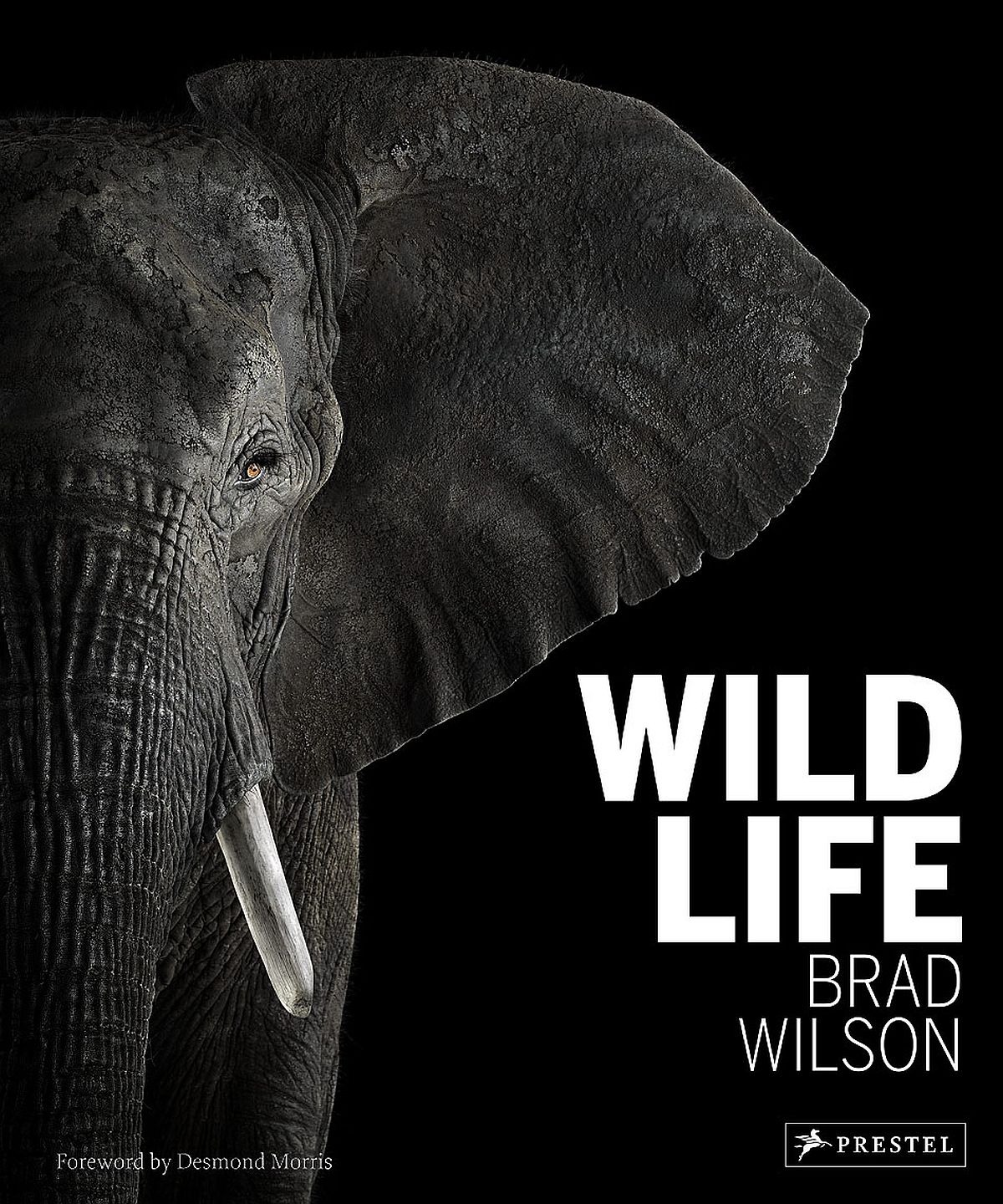 brad-wilson-wild-life-00-cover