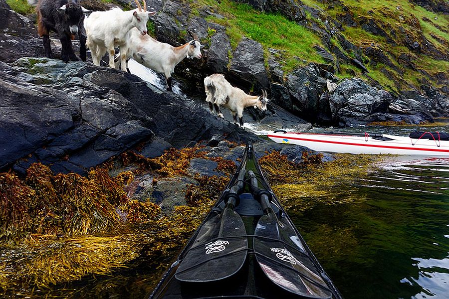 tomasz-furmanek-the-fjords-of-norway-from-the-kayak-seat-20