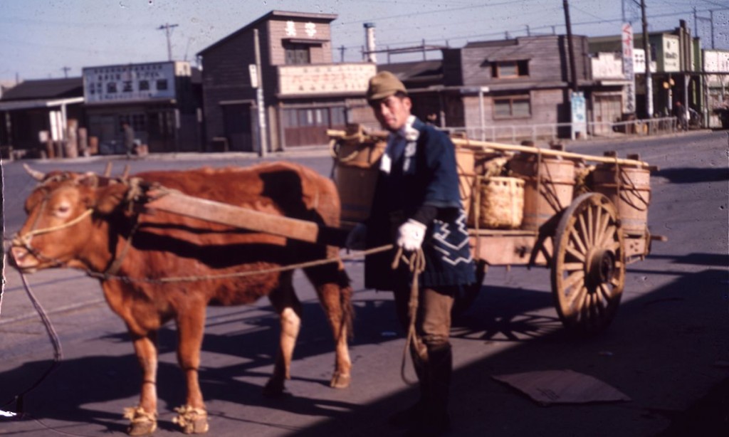 Vintage color: Everyday Life in Japan from 1949-1951