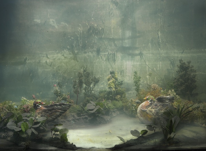 © Kim Keever