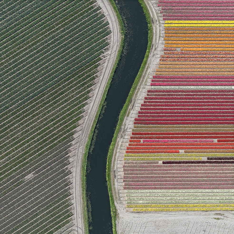 Tulip Fields © Bernhard Lang
