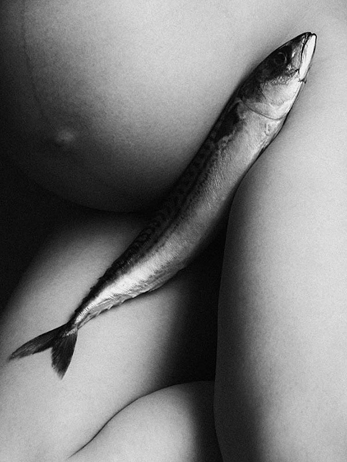 The Fish by Katya Evdokimova