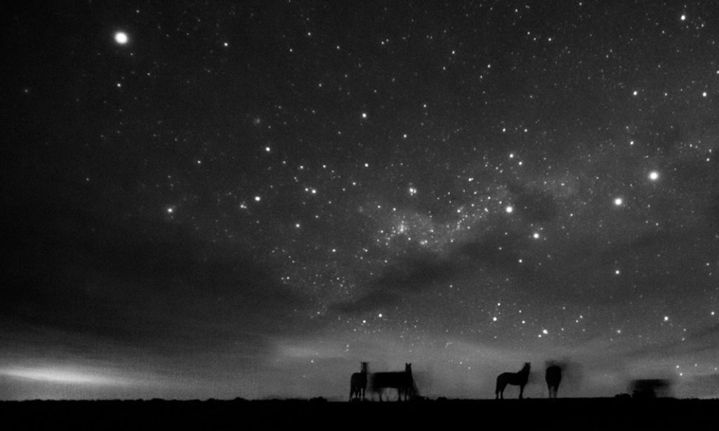 Eliseo Miciu: Patagonia’s Last Wild Horses