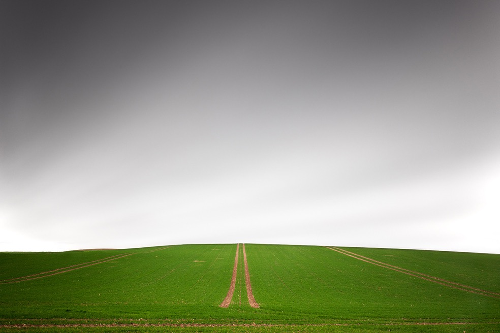 Fields © Bernd Walz