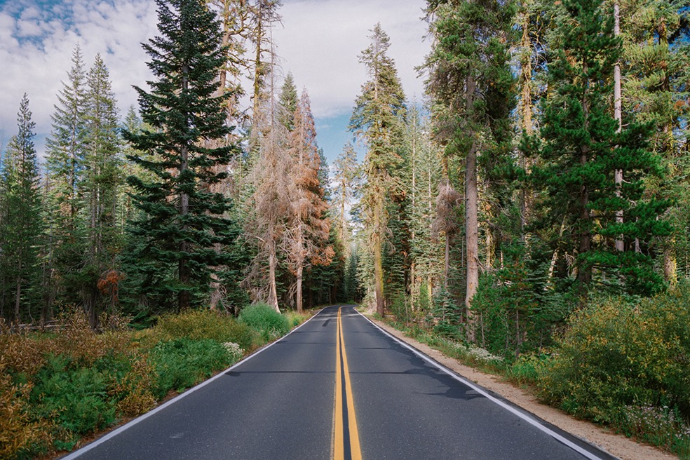 Yosemite National Park (USA)