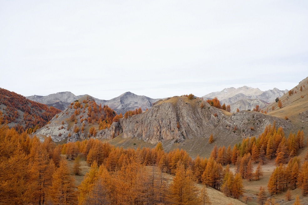 Mercantour National Park (FR)