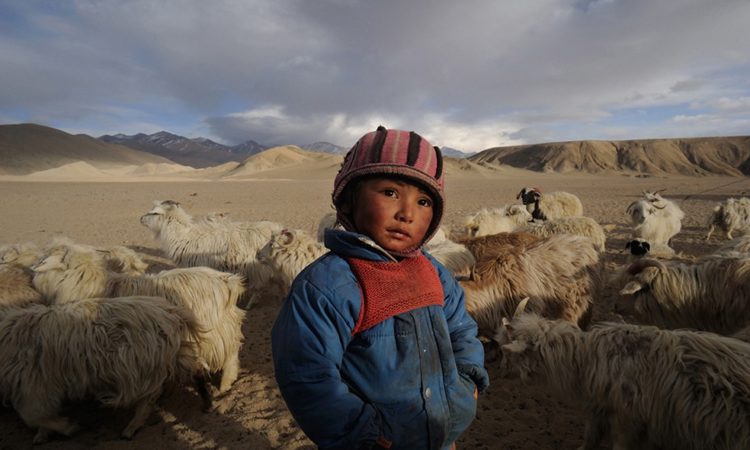 Joydip Mitra: Losing Horizon – The Changpa Nomads of Trans-Himalayan India