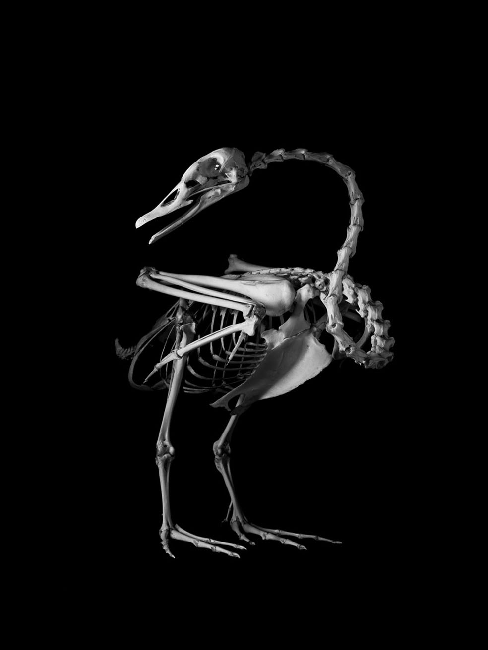PhotoBiography: Patrick Gries | Internationalphotomag PhotoBiography: Patrick Gries | Internationalphotomag