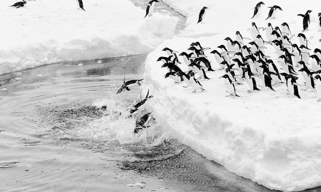 Guillaume Pepy: Terra Incognita