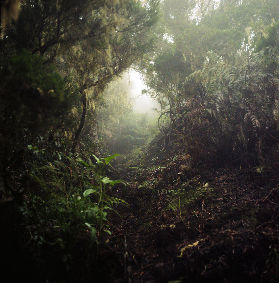 Tropics © Julien Coquentin 