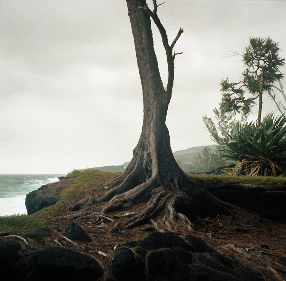 Tropics © Julien Coquentin 