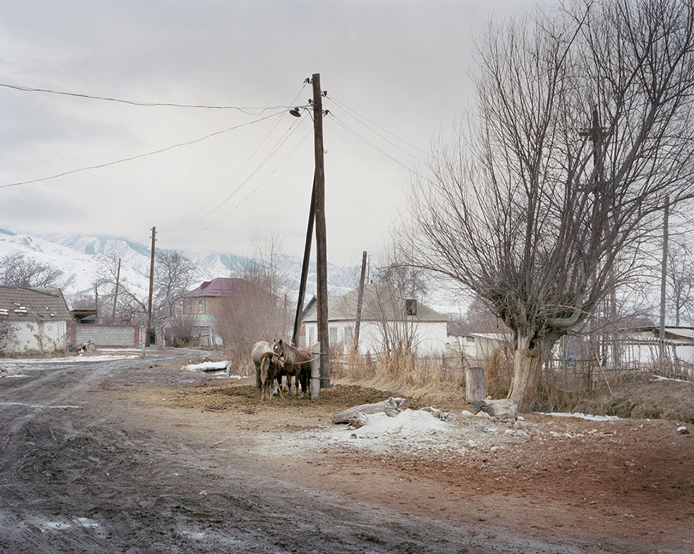 A Shaded Path © Elliott Verdier