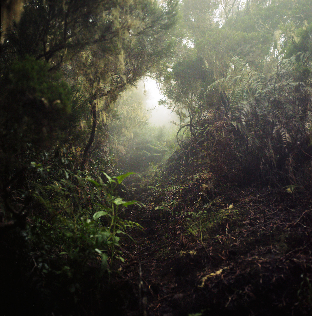 Tropics © Julien Coquentin - 1st Place, Travel