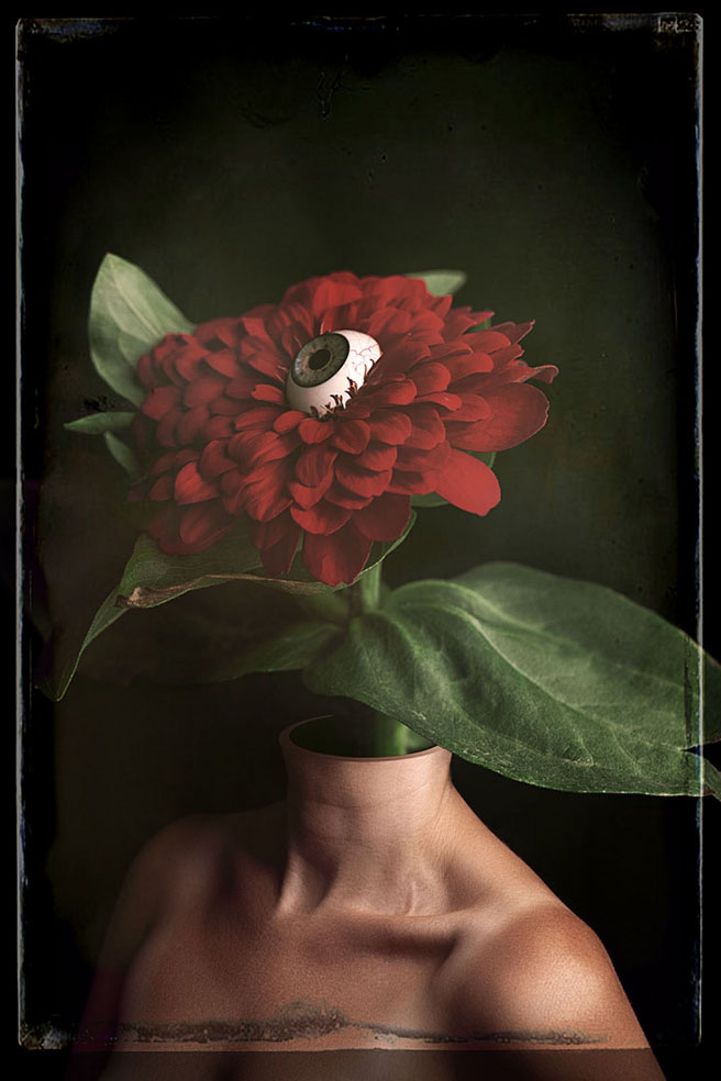 Phantasmagoria © Natalie Arriola