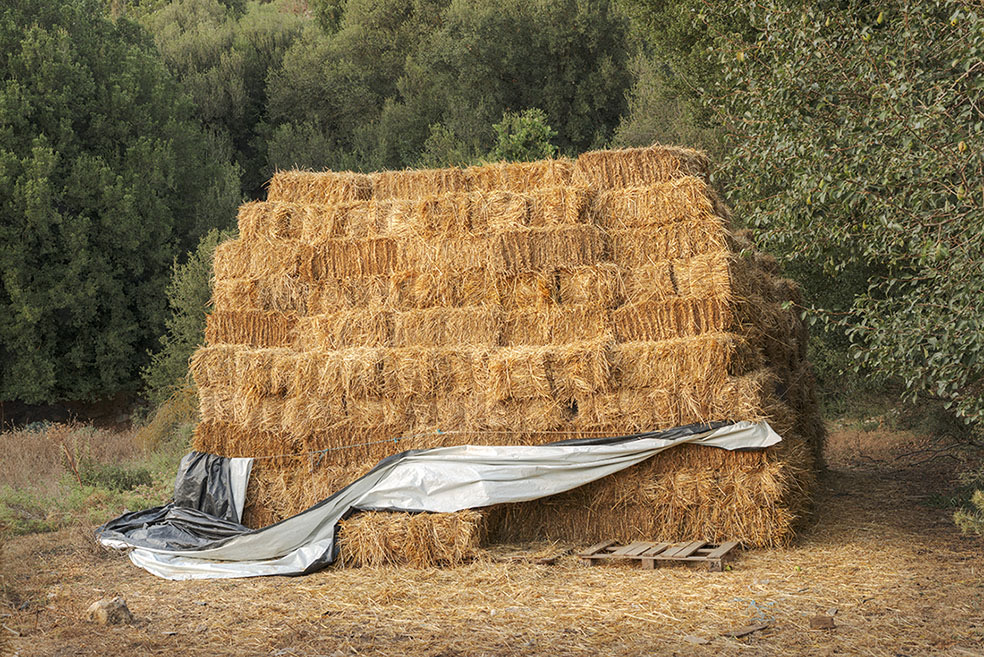 Cornucopia © Panos Charalampidis & Mary Chairetaki